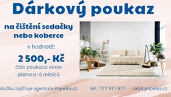Dárkový poukaz na čištění sedačky nebo koberce v hodnotě 2500,- Kč